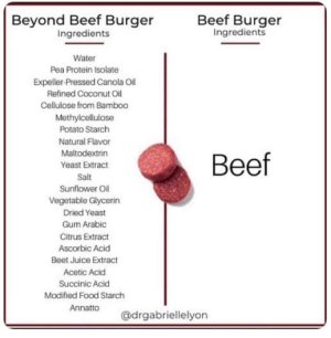 Beef - fake ingredients.jpg