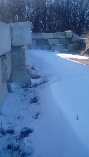 IMG_20220128_155128.jpg