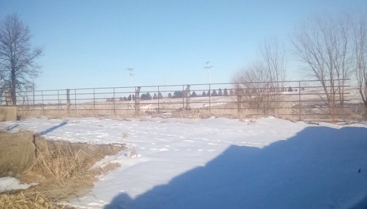 IMG_20220128_155242.jpg