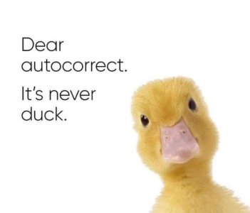 autocorrect it's never duck.jpg