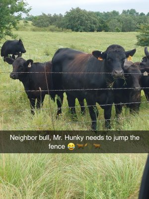 Snapchat-551492039.jpg
