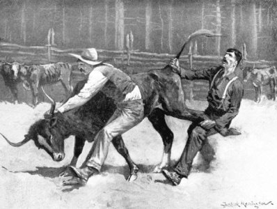 Cowboys wrestling a bull.jpg