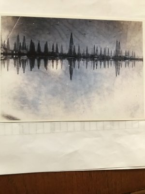 0003325D-DF65-4385-820A-5EFFFF3F5998.jpeg