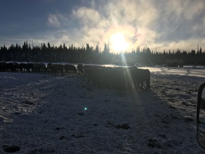 360D51C2-AAAE-4474-9CA9-47E7620E9646.jpeg