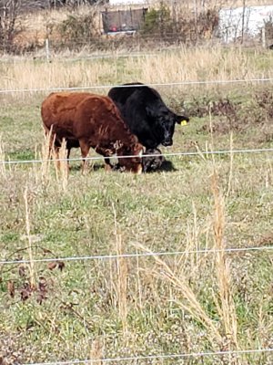 20201210_115752.jpg