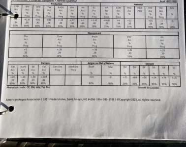 698017670.jpg