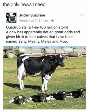 thumb_the-only-news-i-need-udder-surprise-monday-at-11-34-43841271.png