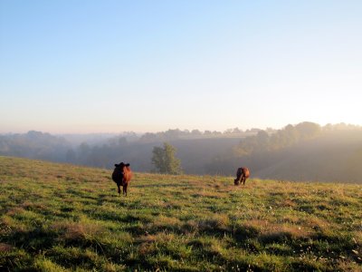 sunrise on ridge.jpg