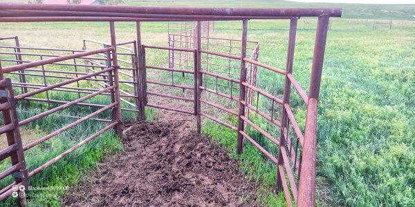 DIY cattle sweep | CattleToday.com - Cattle, Cow & Ranching Community