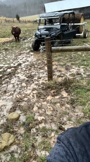 IMG_2782.jpeg