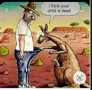 kangaroopouch.PNG