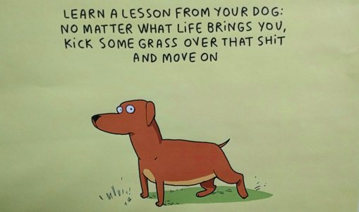 Learn lesson from dog.jpg