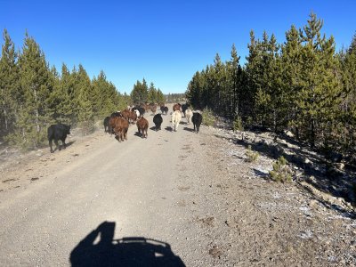IMG_0884.jpeg