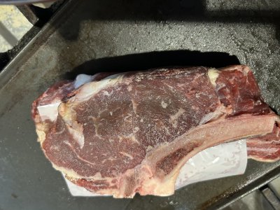 IMG_0891.jpeg
