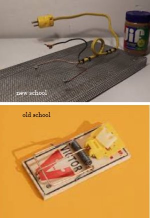 mouse.jpg