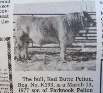 Red Butte Pelion (4).jpg