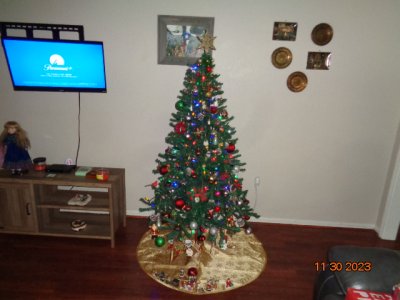 DSC00505.JPG