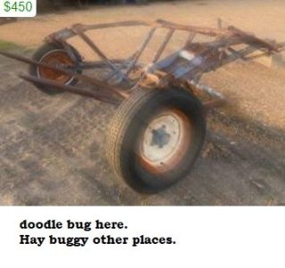 doodle bug.jpg