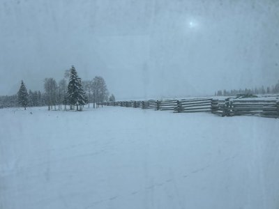 IMG_1639.jpeg