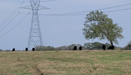 20240227_161217.jpg