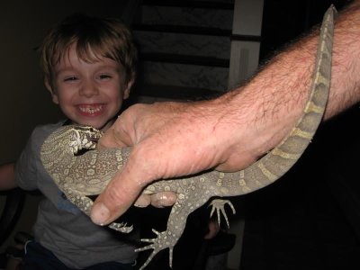 Lizard bites, Son laughs.jpg