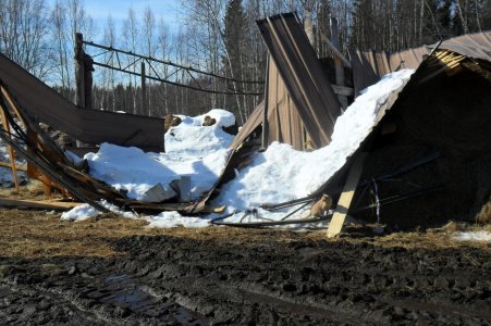 Hay shed collapsed-2.JPG
