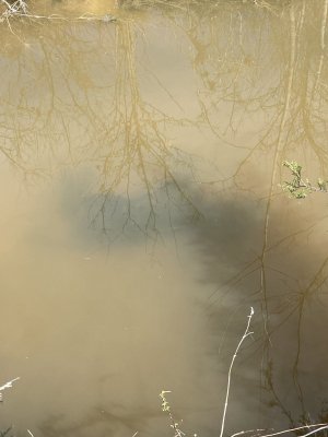 IMG_7113.jpeg
