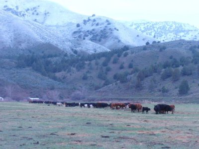 P4043225.JPG