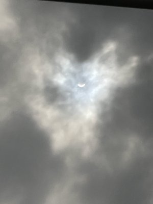 IMG_3737.jpeg