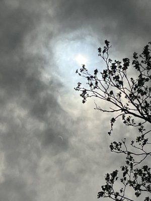 IMG_5875.jpeg