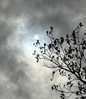 IMG_5873.jpeg