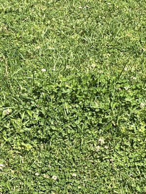 IMG_5913.jpeg