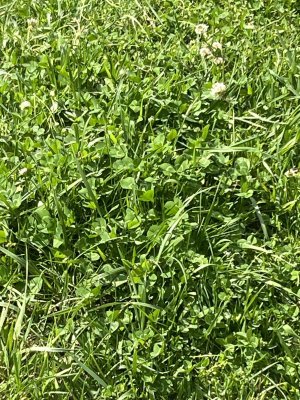IMG_5912.jpeg
