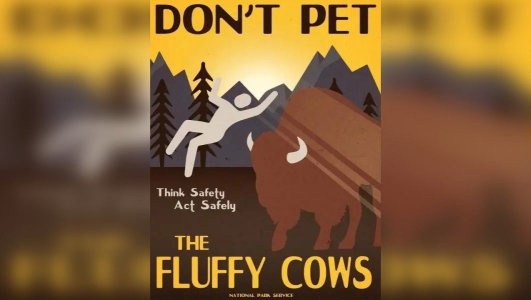dont-pet-the-fluffy-cows-web.jpg
