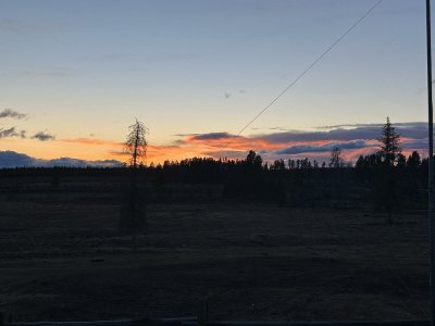 IMG_2336.jpeg