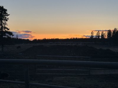 IMG_2090.jpeg