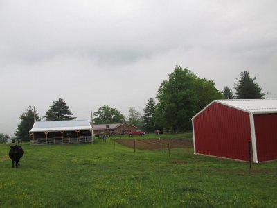 IMG_8422.JPG