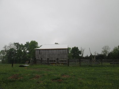 IMG_8427.JPG