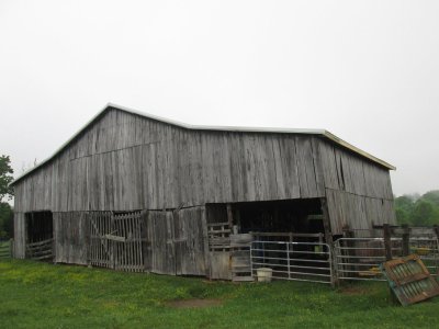 IMG_8430.JPG
