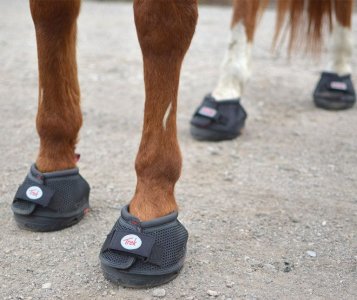 trubee-trek-cavallo-boots-768x647-40601191.jpg
