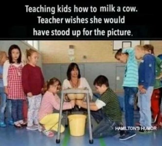 milking a cow.jpg