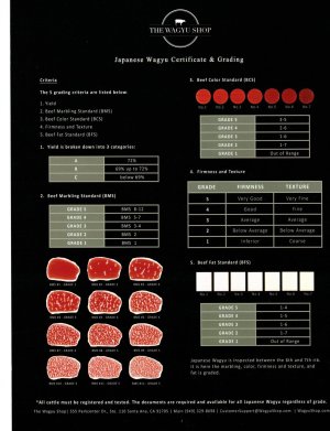 wagyu 5.jpg