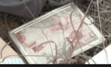 Screenshot_20240628-181124 (1).png