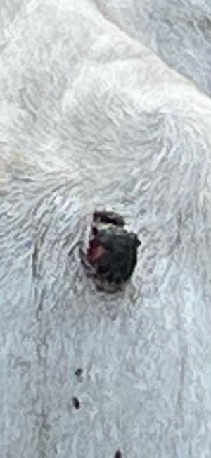 image3.jpeg