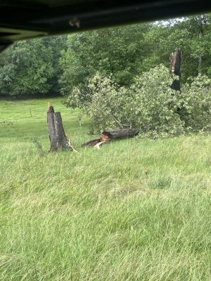 IMG_3416.jpeg