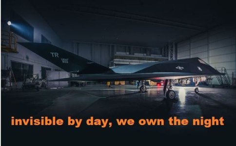 nighthawk.jpg