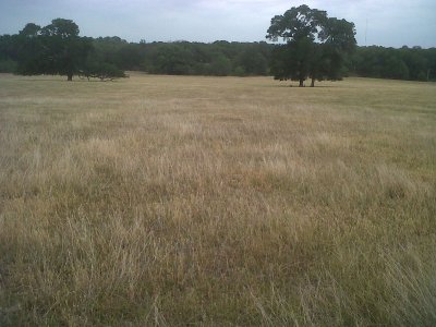 IMG00140-20110511-1559.jpg