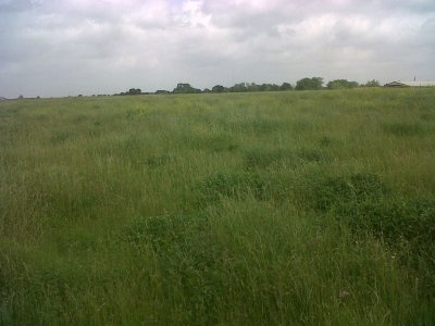 IMG00322-20120403-1151.jpg