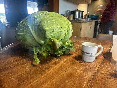 IMG_3634.jpeg