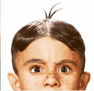 1734529794447.png
